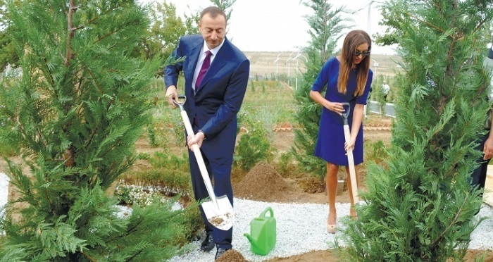 President takes part in tree planting campaign on Heydar Aliyev